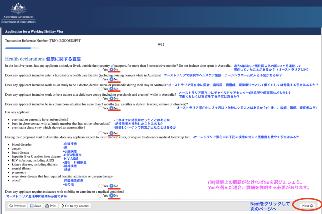 健康問題についての入力画面