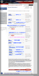 DS160申請書　入力画面