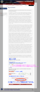 DS160　入力内容確認レビュー画面